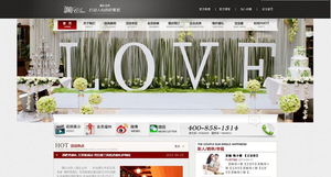 北京網站建設與推廣 案例展示與整合營銷實踐